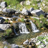 Dans le vallon de Sallevieille.