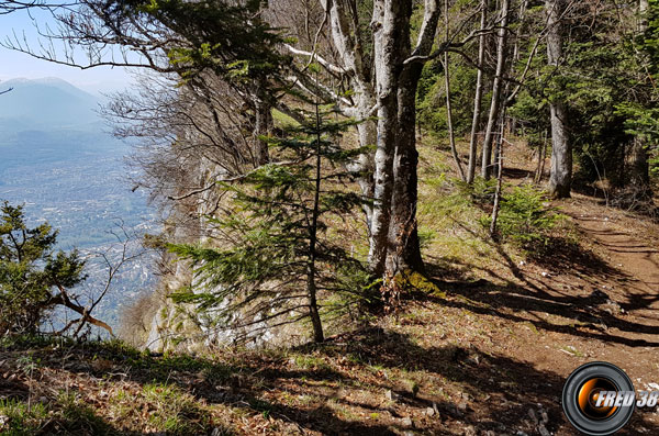 Le sentier suit la falaise.