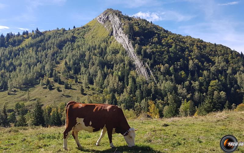 Mont Truc vu des chalets de Miage.