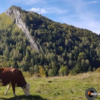 Mont Truc vu des chalets de Miage.