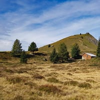 Chalet du Truc.