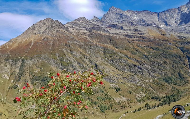 L'Arête de Tricot et Pointe Centrale.