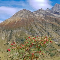 L'Arête de Tricot et Pointe Centrale.