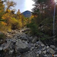 Montée dans le ruisseau.