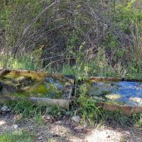 La petite source,