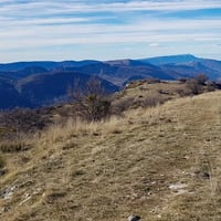 En fond le mont Ventoux.