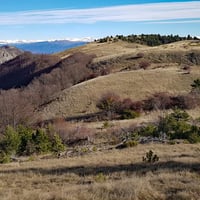 Le col de Branche.