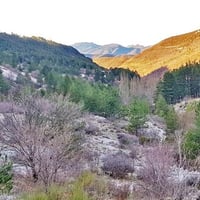 La descente sur les Damias.