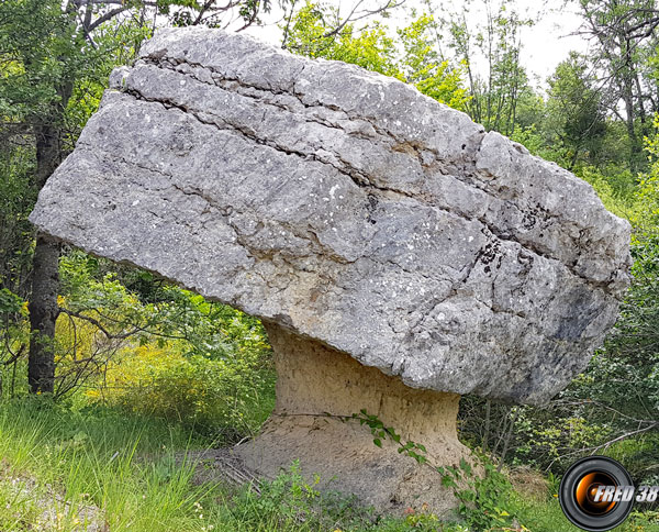 La pierre en forme de champignon