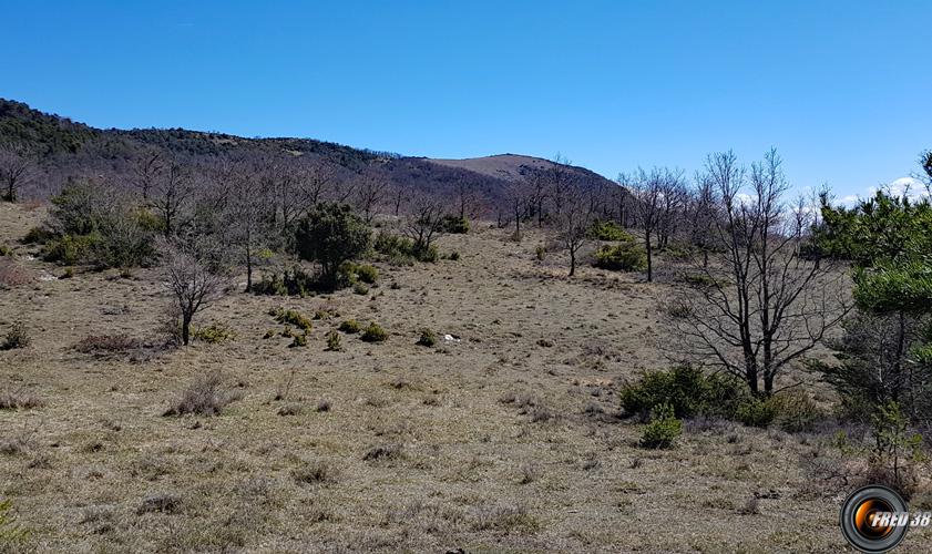 Col de Léchaud