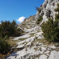 Arrivée à la montagne de Mare.