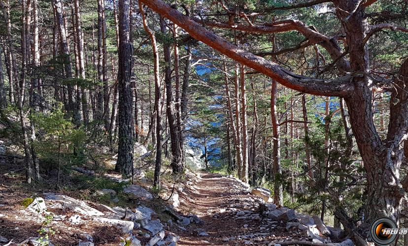 Sentier de descente.