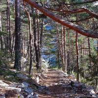 Sentier de descente.