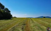 Montagne de suerme photo