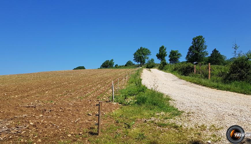 Dans la descente.