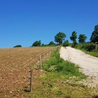 Dans la descente.