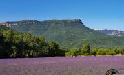 Montagne de sumiou st pons photo