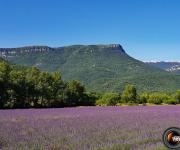 Montagne de sumiou st pons photo