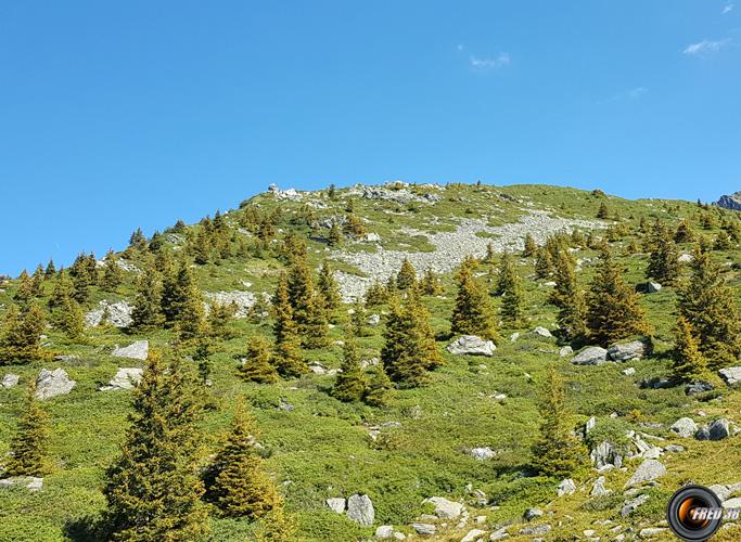 Prairie sous le sommet.