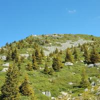 Prairie sous le sommet.