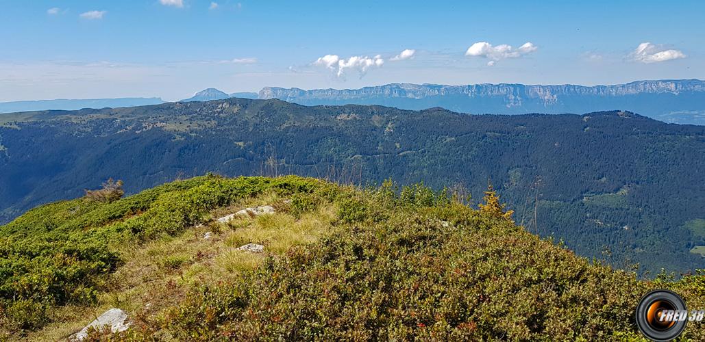 Le sommet et en fond la Chartreuse.