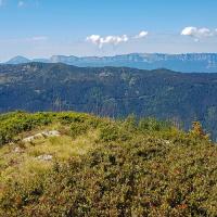 Le sommet et en fond la Chartreuse.