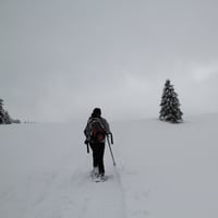 Pres des chalets des Auges.
