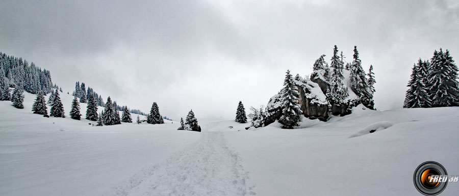 En descendant sur le plateau des Glières.