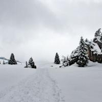 En descendant sur le plateau des Glières.