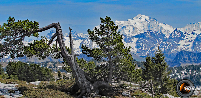 Le Mont-Blanc.