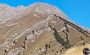 Monte peyron photo