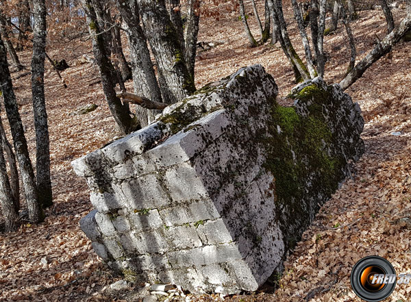 Un reste de la tour dans les bois.