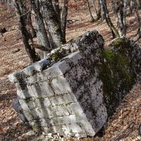 Un reste de la tour dans les bois.