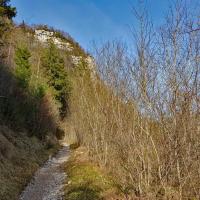 Le sentier de montée.