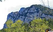 Moucherotte vallon photo