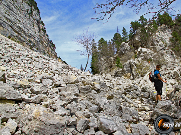 Le vallon des Forges.