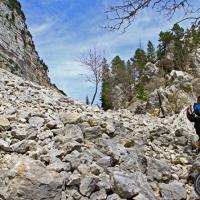 Le vallon des Forges.