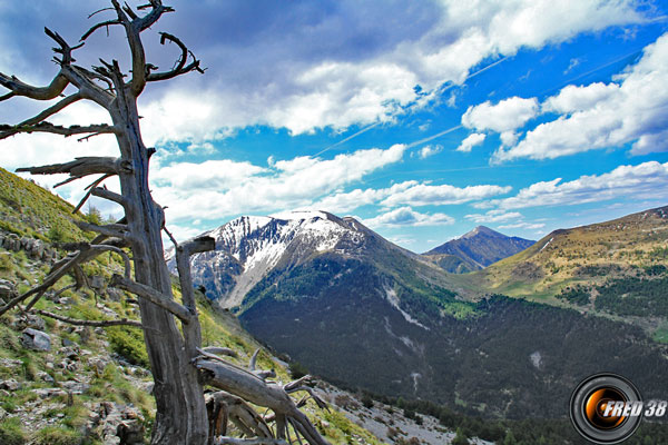 La Montagne de Boulès et en fond le Mourre Frey.