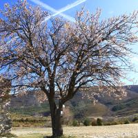 L'oratoire de Vénascles