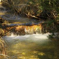 Petite cascade dans le Ravin du Riou