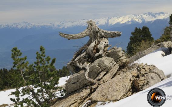 Le massif de Belledonne .