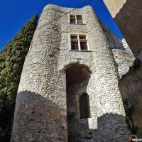 Chateau Vieux.
