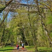 Sous le viaduc.