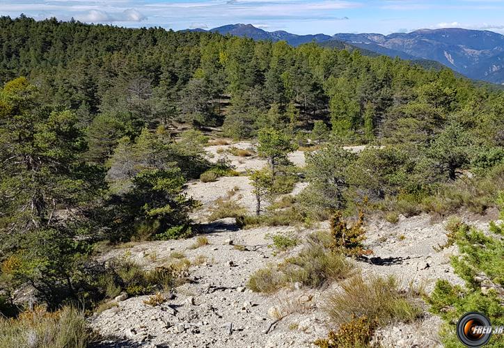 La zone fossilifère.