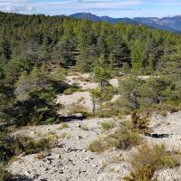 La zone fossilifère.