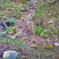 Ruisseau pétrifiant.