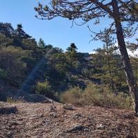 Sur le sentier.