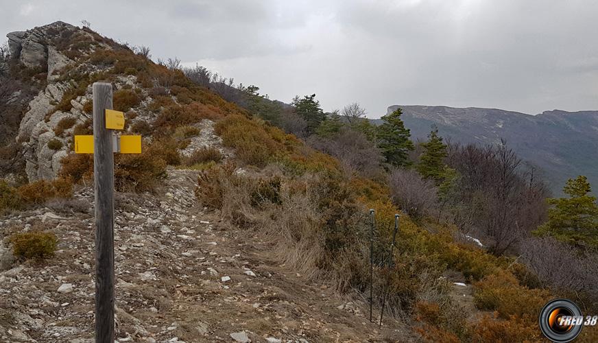 Arrivée sur la crête.