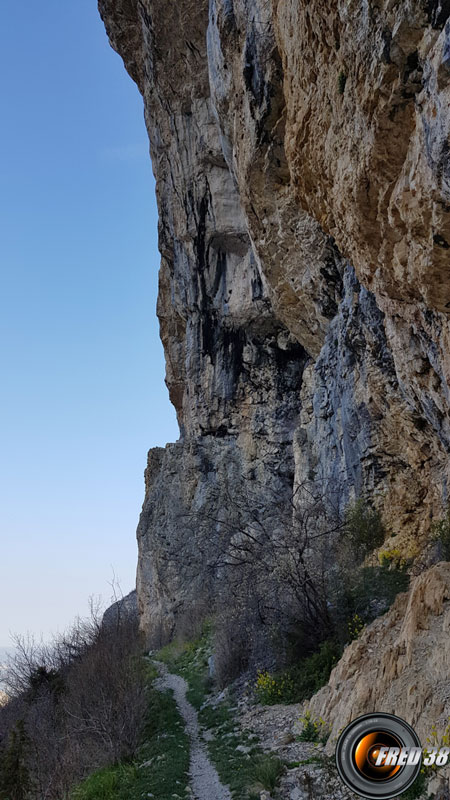 La grande falaise.