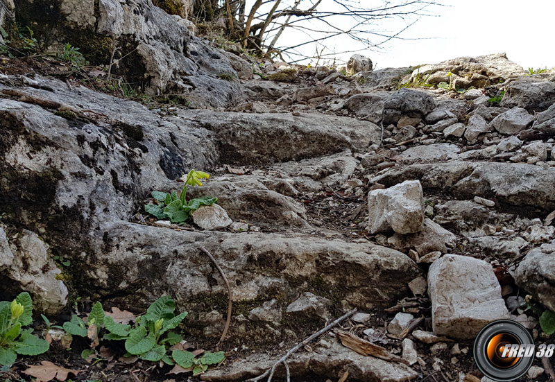 Les marches taillées dans la roche.